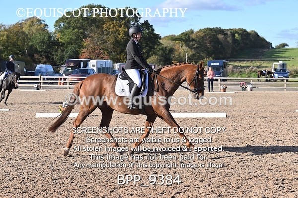 BPP_9384 - LONG ARENA
