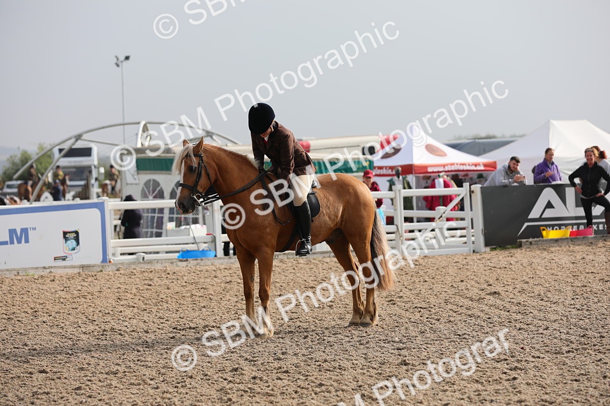 SBM_10092 - Class 302 Ridden M&M -Large Breeds