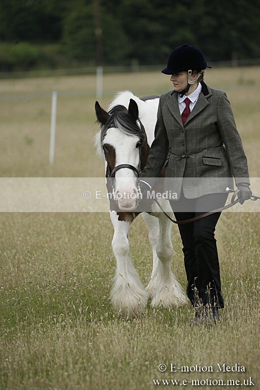 B230619-0035 - Bourne Valley Riding Club Summer Show 23/06/19