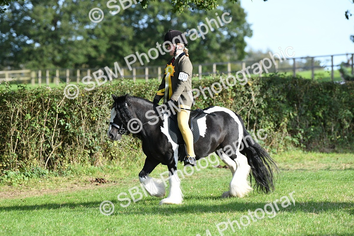SBM_52107 - S21 - Novice & Newcomers 1st Ridden Pony