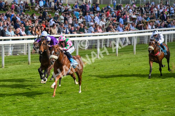 170523-Race 6-Mon Na Slieve-0789 - Race 6 4.45pm British EBF 40th Anniversary Novice Stakes
