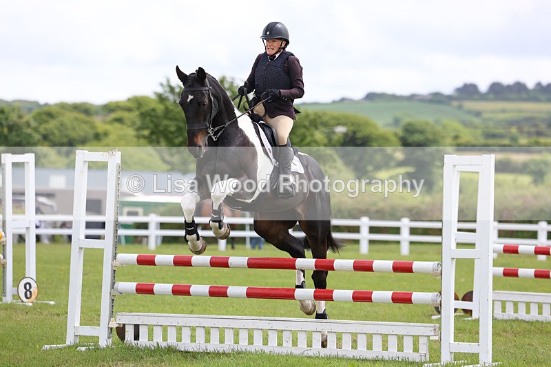 3E7A7323 - Class 13: Senior British Novice/90cm open