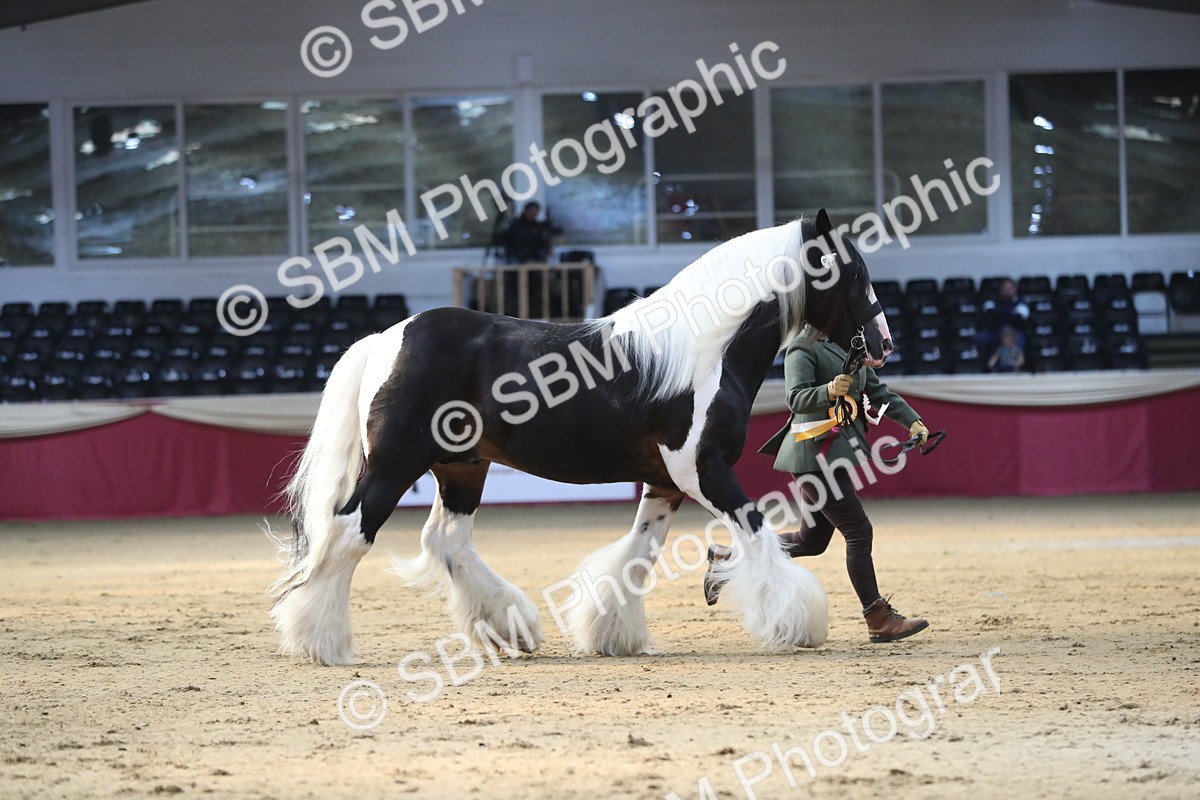 SBM_01409 - Class 3a Area IH Pre Vet