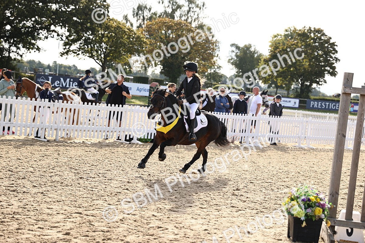 SBM_59791 - J11 - Junior Pony 50cm Championship