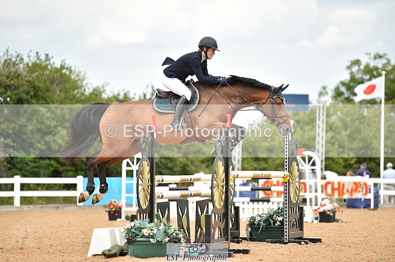 230720A-122526-02542 - Cls 13, 1 Star Bronze 1.10m