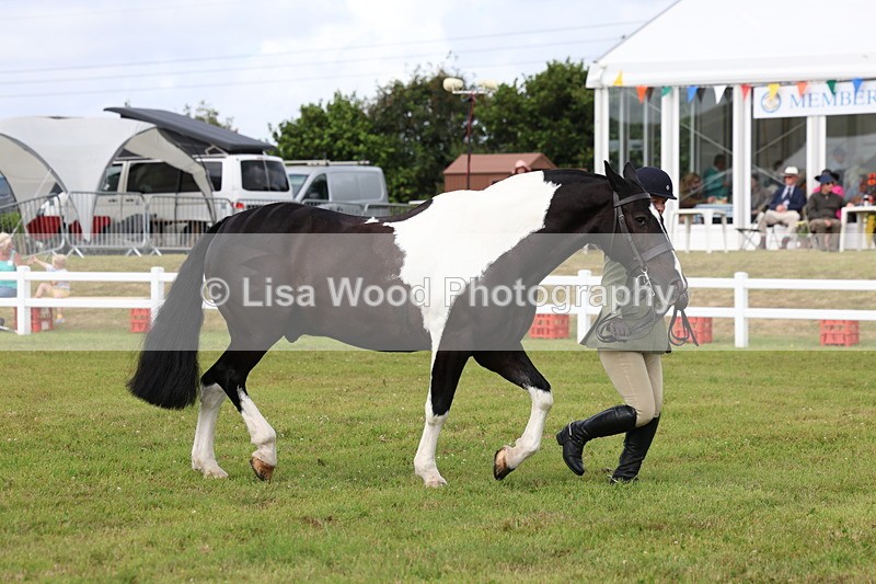 3E7A0404 - Class 6: Rising Star Maxi Cobs