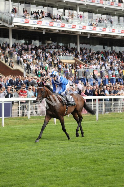 yr17082022r4-103 - Race 4 3.35pm Juddmonte International Stakes (British Champions Series Race)