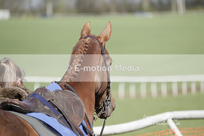 PtP 100423 814 - Old Berkshire Point-to-Point Lockinge 10/04/23