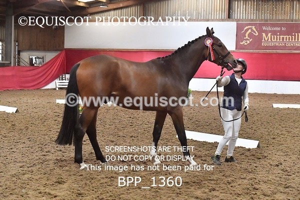 BPP_1360 - MORNING 9AM - 12PM