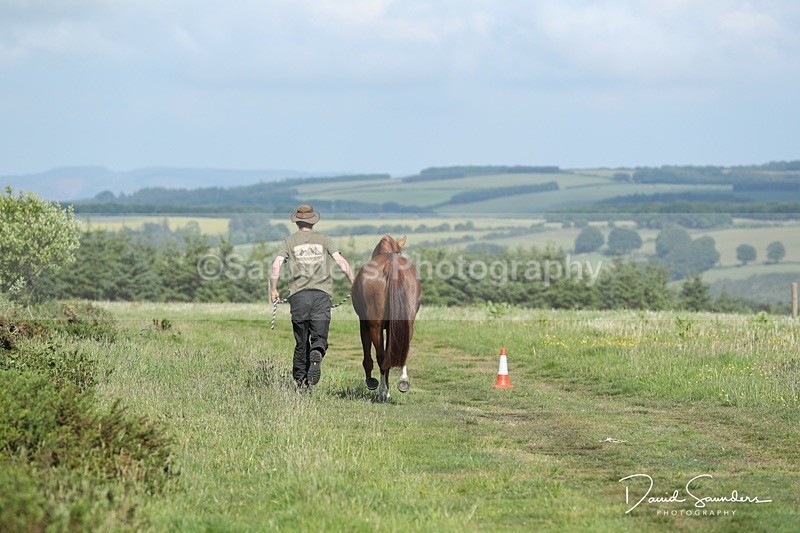 SPXX0024 - Friday vetting