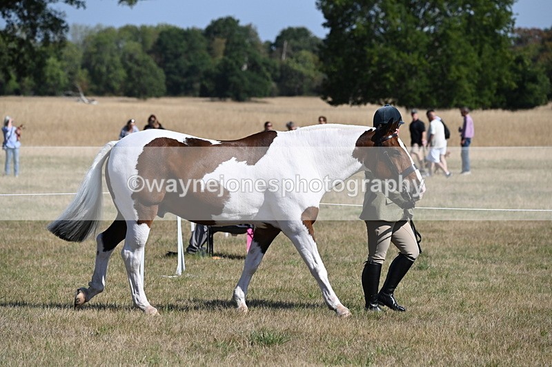 WJ6_4177 - Class 16 Condition & Turn Out
