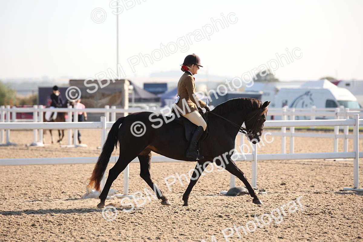 SBM_00621 - Class 14 Ridden M&M Wildcard