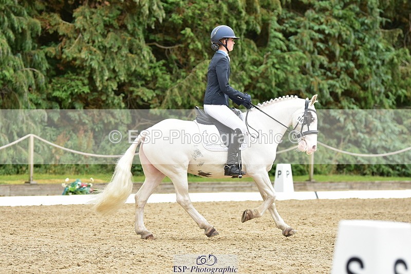 250719A-143638-06304 - 166-Ruby.Vincent-Silver.lining