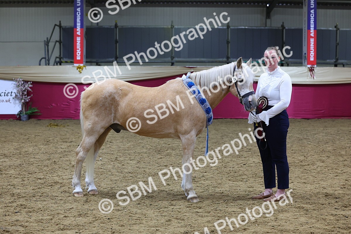 SBM_19794 - Class 901 - Supreme Final - IH Diamond