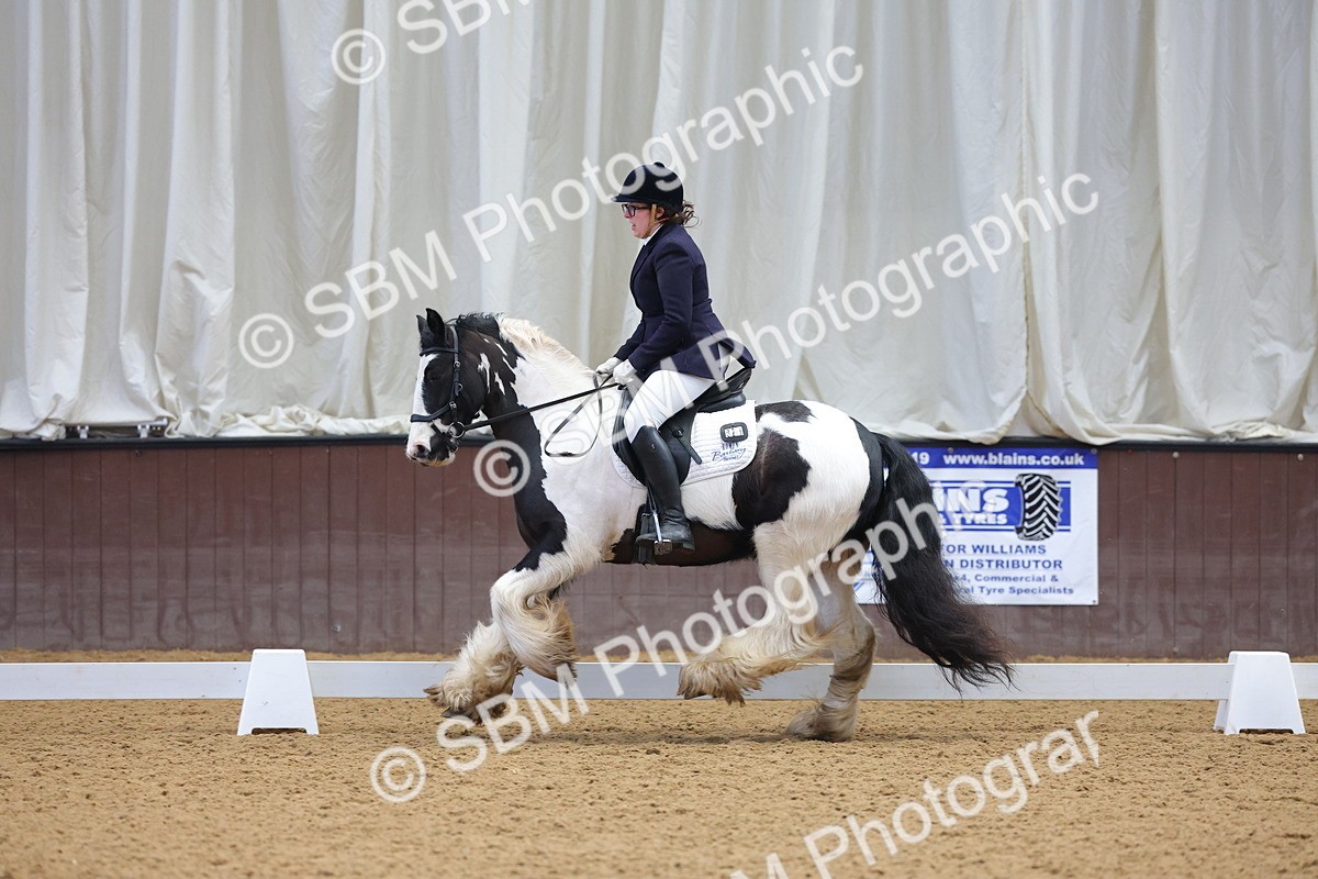 1I0A8823 - Class 4 - Novice 4