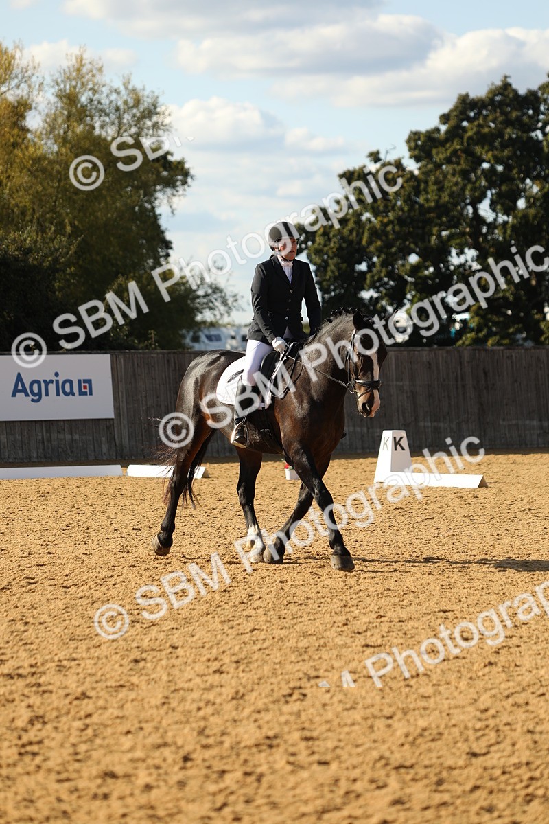 SBM_26936 - D17 - Grand Tour Championship - Novice 27