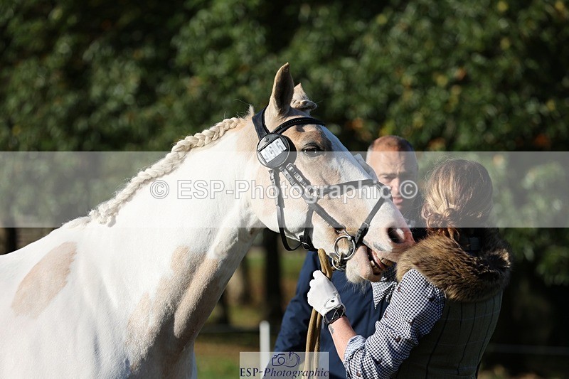 241027-091609-15170 - 465-Clare.Pascoe-MR.QUINN