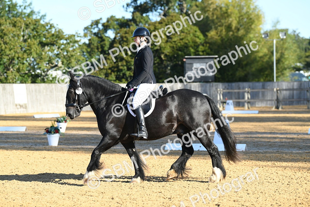 SBM_14512 - D4 - Small Tour Championship - Intro B