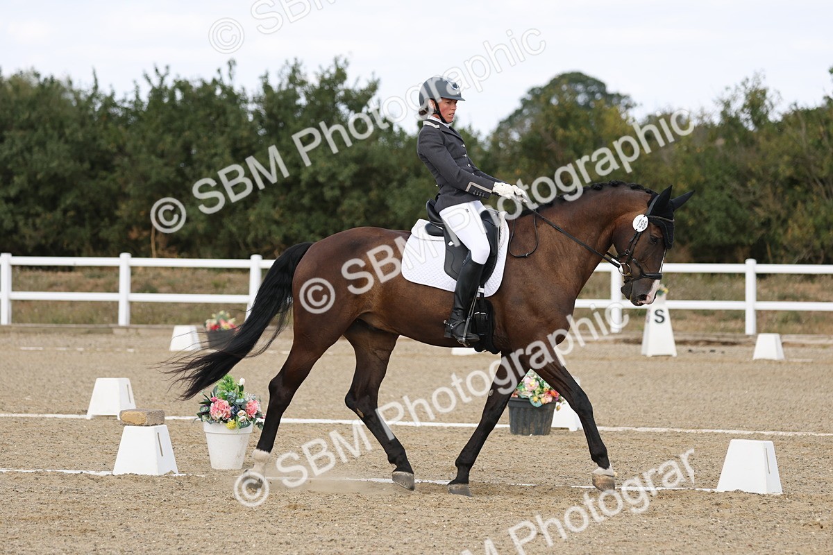 SBM_021999