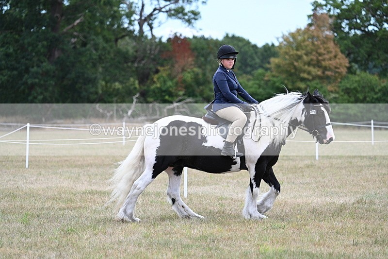 WJ7_4702 - Class 12 Ridden Cob