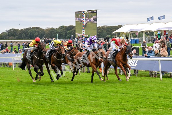 101025-Race 2-Astrazar-0142 - Race 2 British EBF £100,000 Final at York
