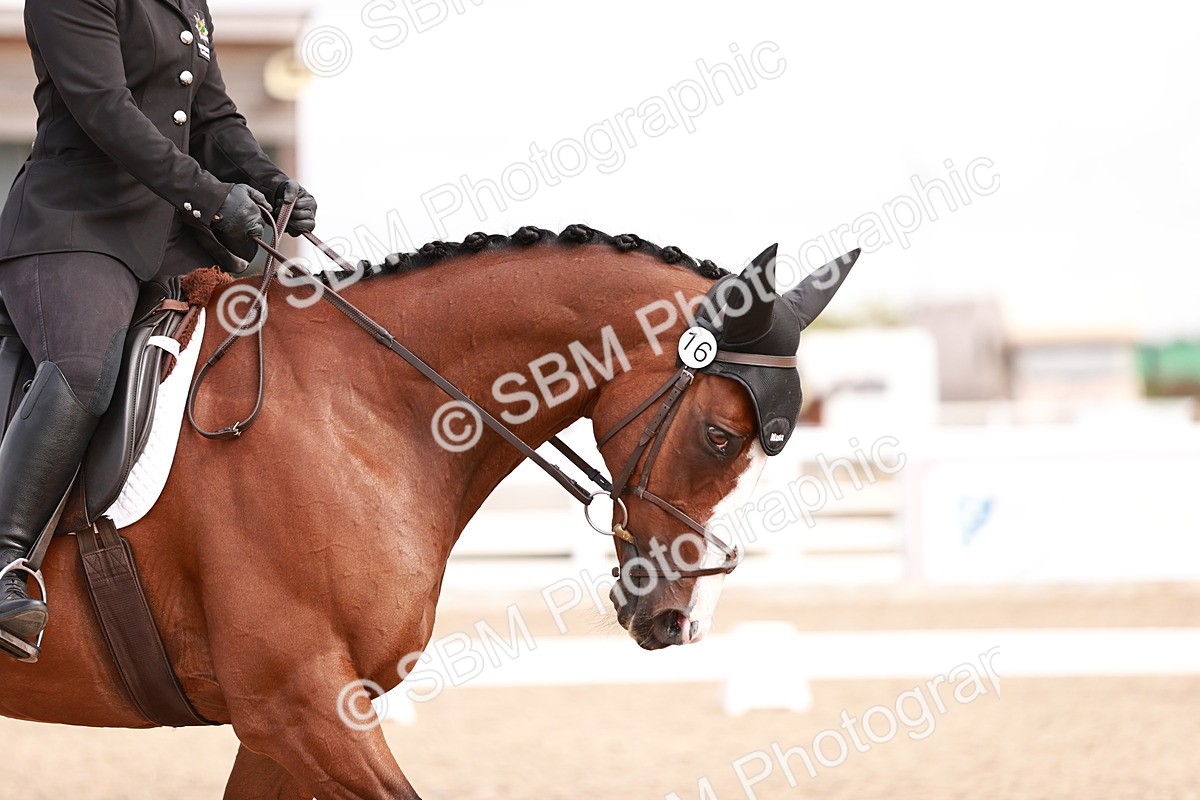 SBM_04101 - Class 36 - Prelim 5