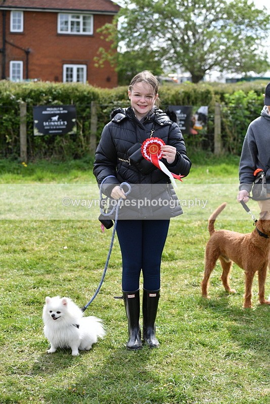 WJ5_9862 - Class 3 Most Handsome Dog