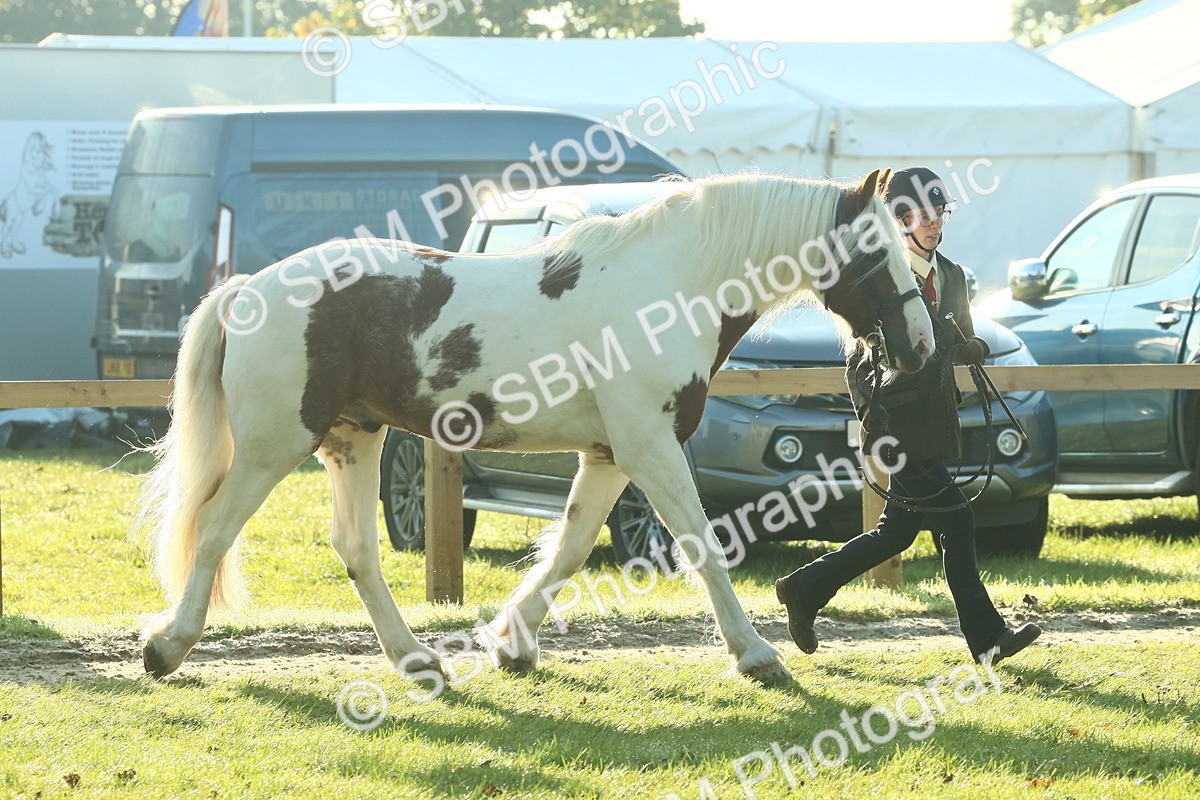 SBM_57416 - S37 - Starters In Hand Showing