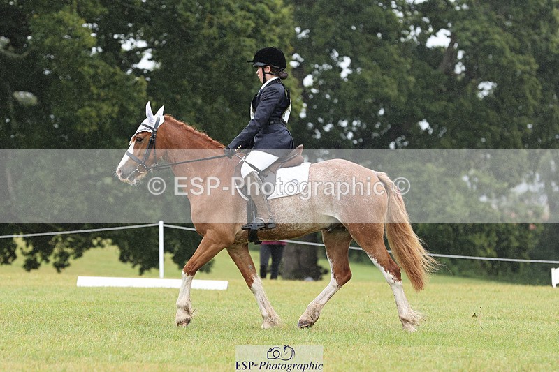 240824X-101933-22213_D70 Section C and D 930 to 1100 - 075-573-3404