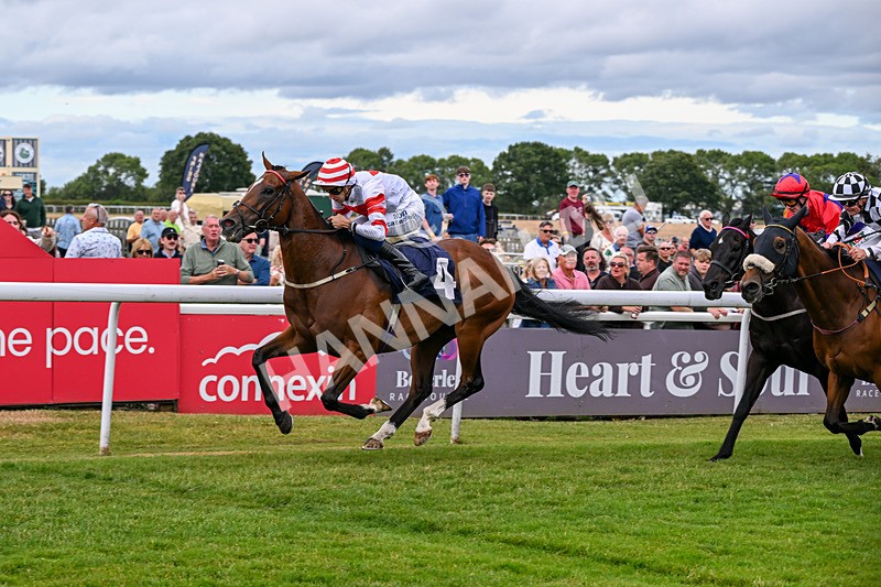 040726-Race 6-Highland Olly-5347 - Race 6 17.10pm Weatherbys Racing Bank Handicap