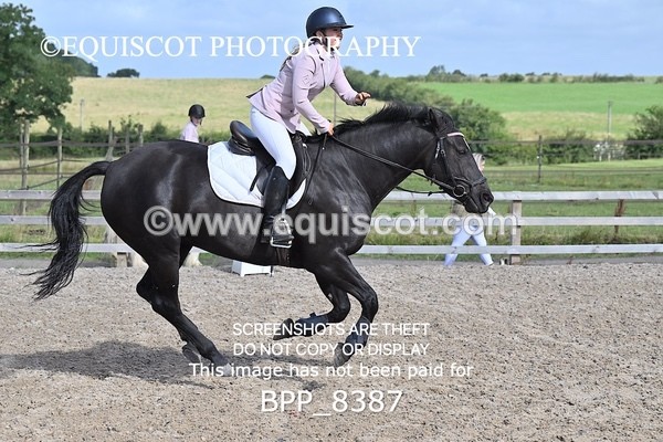 BPP_8387 - 50CM
