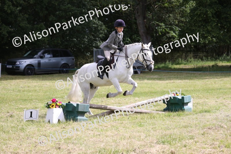 20260614-0535 - Class 20 - Beginners Working Hunter Pony