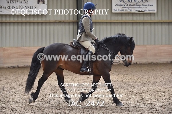 JAC_2472 - CLASS 3 Intermediate Working Hunter