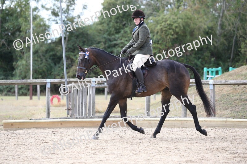 20260831-2666 - Class 15 - Ridden Retraining of Racehorses