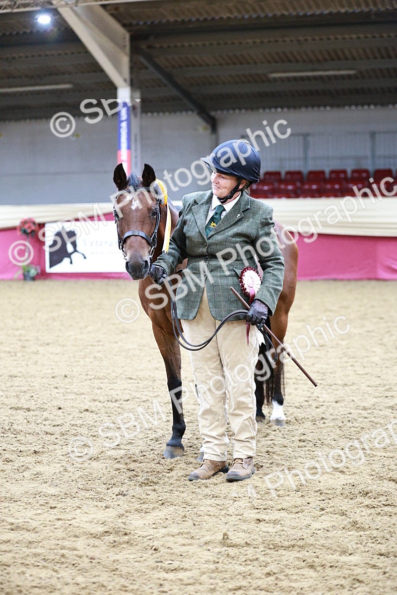 SBM_00373_Class 1a - Area - IH  Diamond - Sally Ashwin