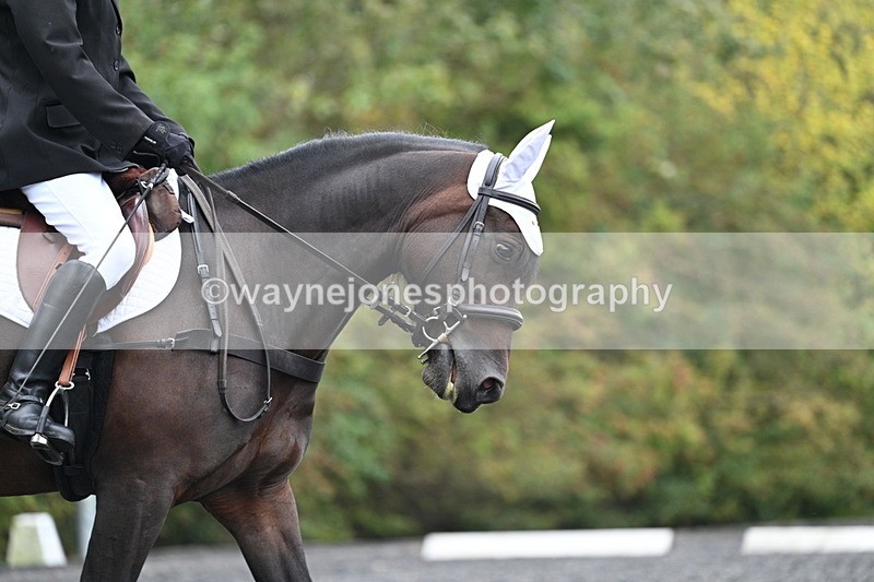 WJ7_3037 - Time 09:00 to 09:35