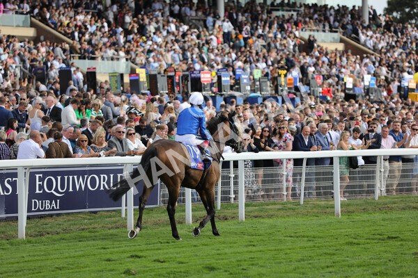 yr20082022r4-218 - Race 4 3.35pm Sky Bet Ebor