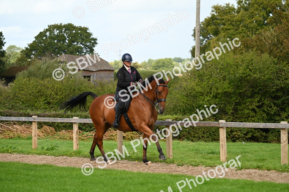 SBM_02005 - S2 - TSR Ridden Horse Showing