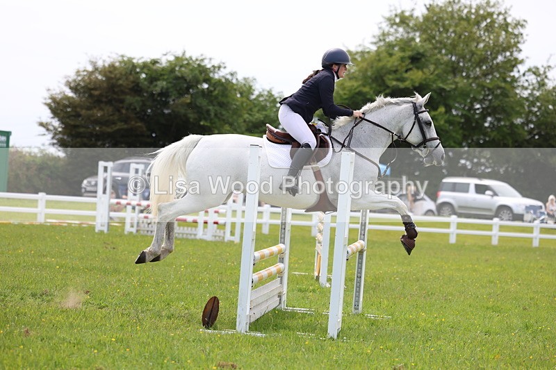 3E7A1524 - Class 13: Senior British Novice/90cm open
