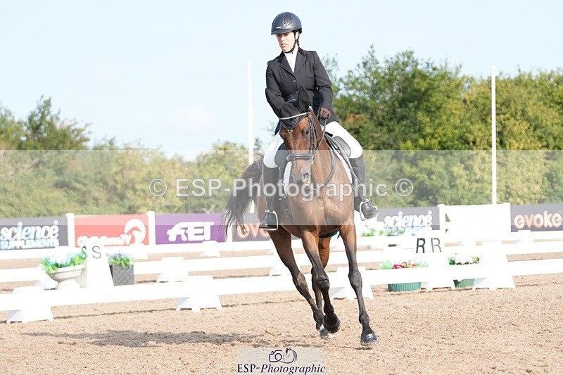 250815-091303-00049 - 005-Patricia.HaskinsGaelic.Surprise