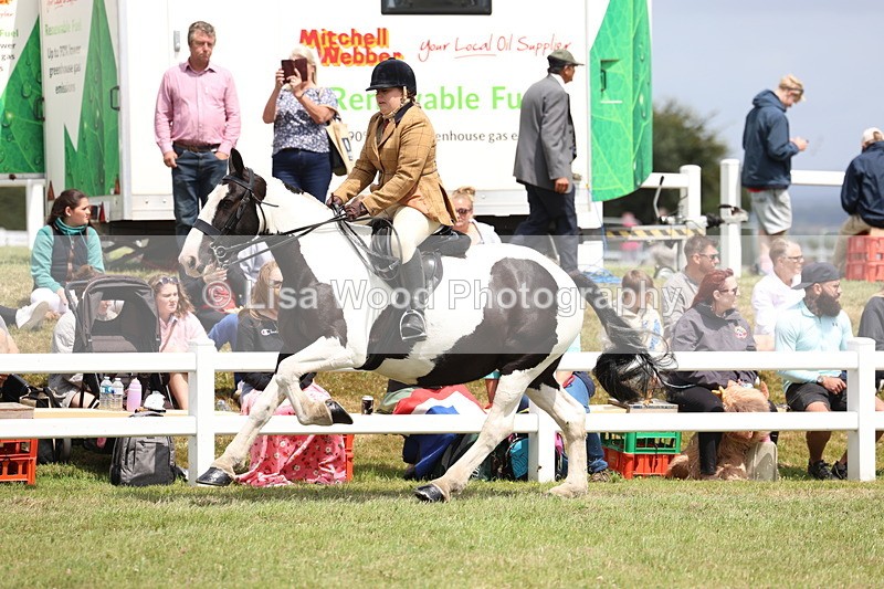 3E7A2053 - Class 10: Open Cob