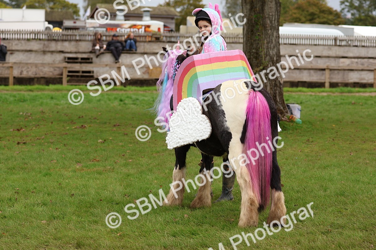 SBM_62201 - S37b - Best Unicorn