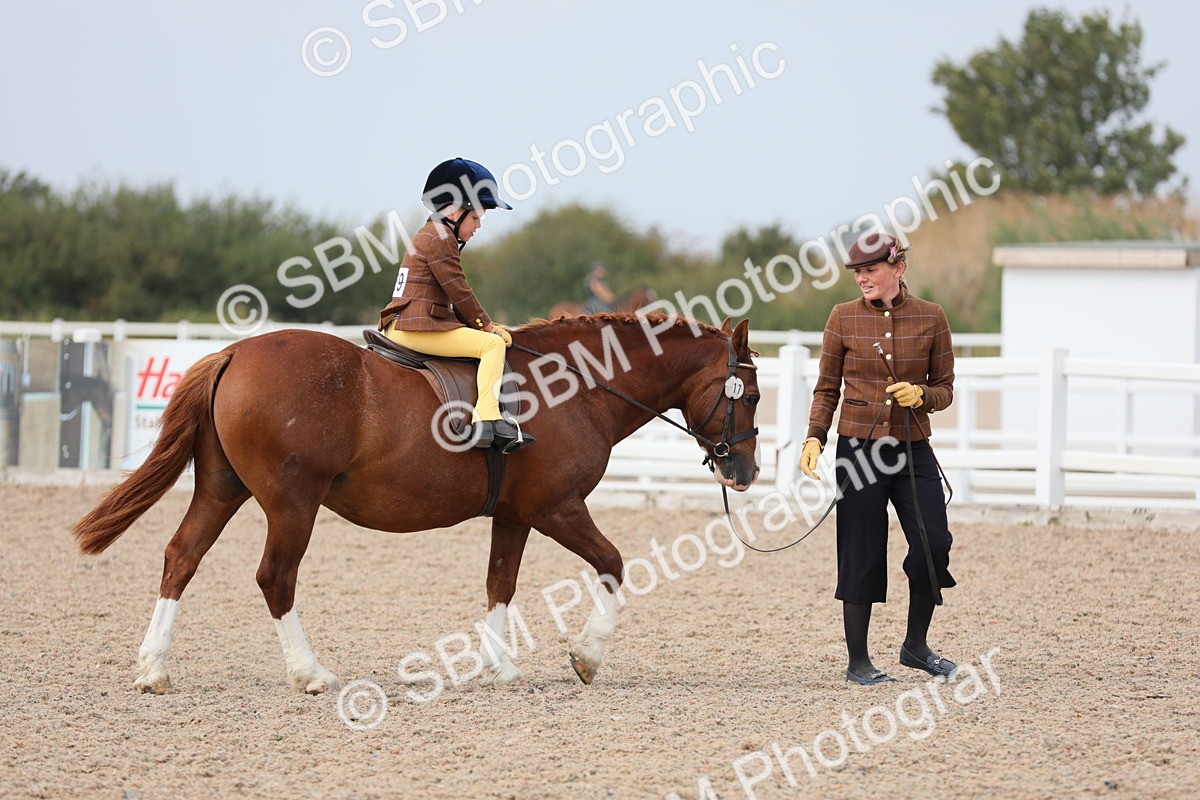 SBM_16889 - Class 314 Family Horse/Pony