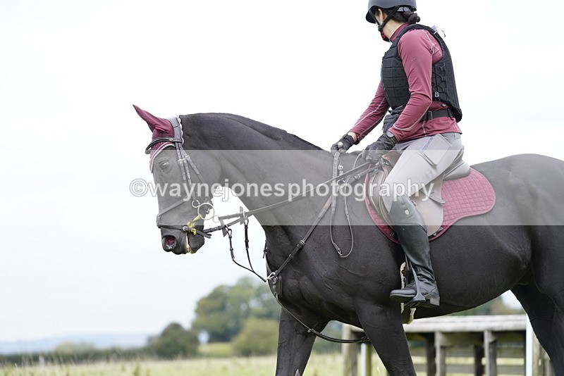 _DSC7113 - Time at Photographer 10:43 to 11:19