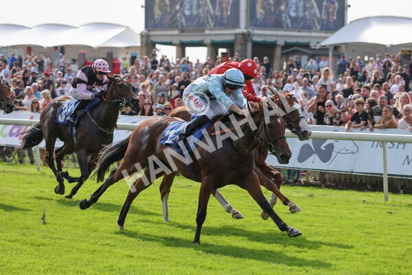 yr05092021r1-25 - Race 1 2.10pm IRE-Incentive It Pays To Buy Irish ebfstallions.com Novice Stakes