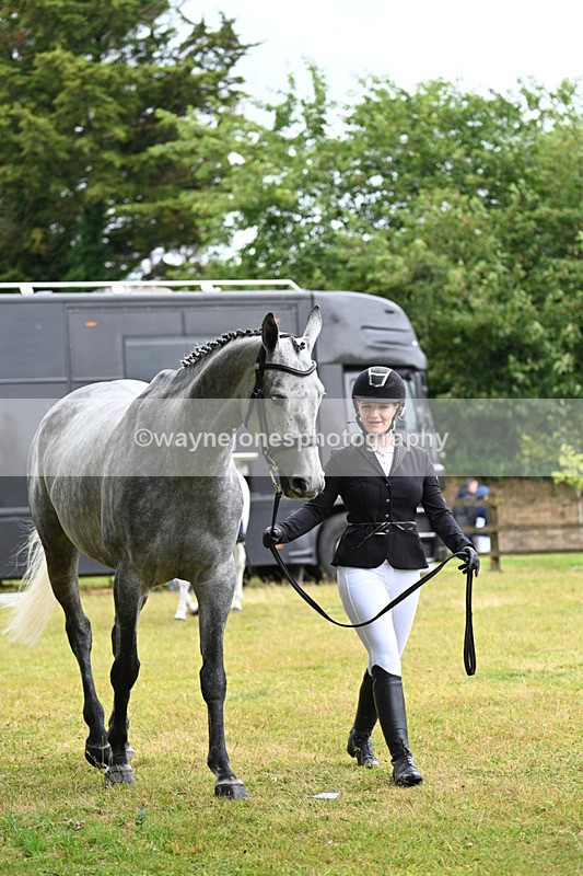 WJ7_6116 - Class 4a Prettiest Mare over 14hh