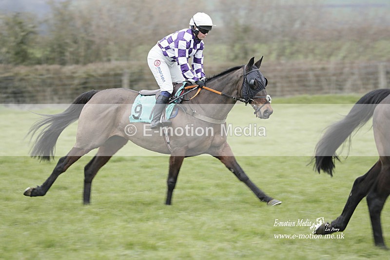 PtP 050323 393 - Blackmore & Sparkford Vale Hunt PtP - Somerset 05/03/23