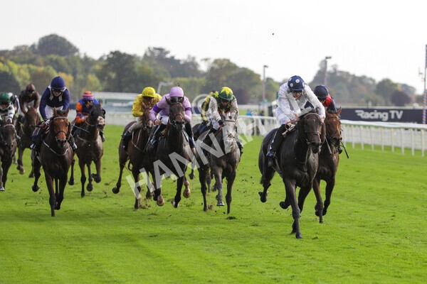 yr07102022r4-39 - Race 4 3.50pm William Hill Best Odds Guaranteed Stakes