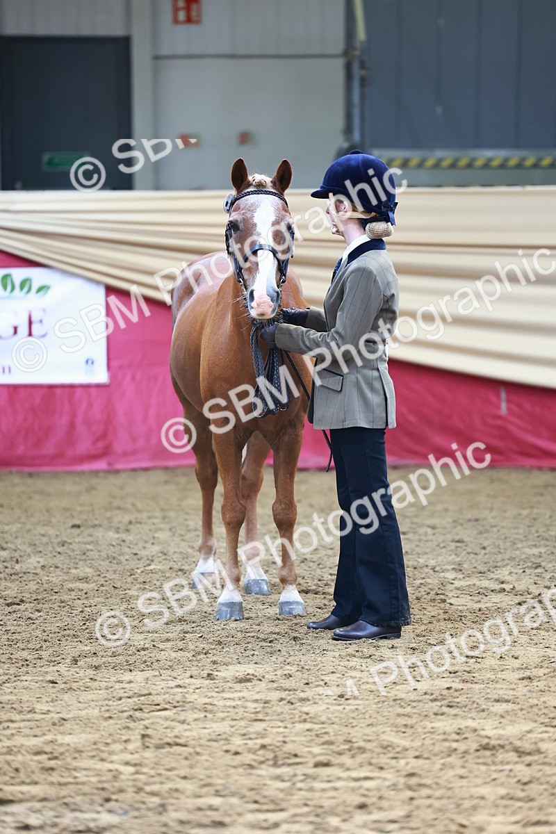 SBM_22302 - Class 902 - Supreme Final - IH Diamond