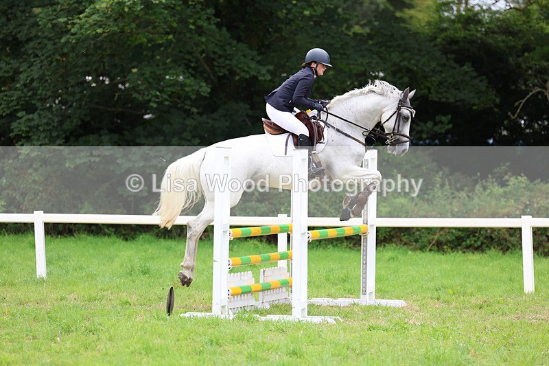 3E7A7069 - Class 5: Senior British Novice/90cm open